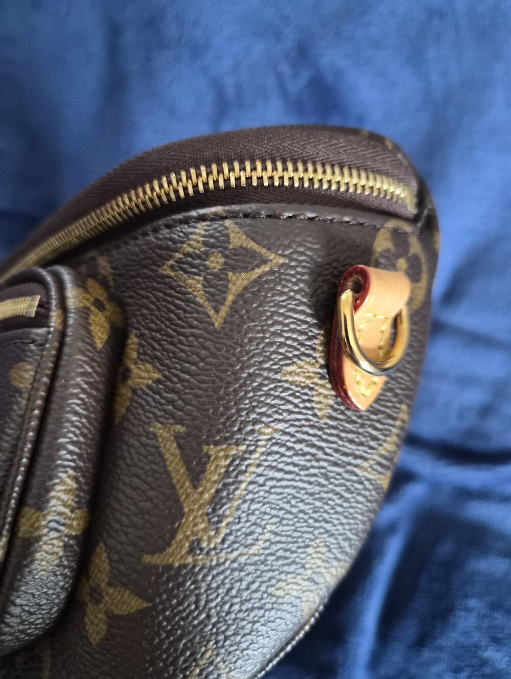 Louis Vuitton Monogram Canvas Mini Bum Belt Bag - Picture 9 of 16
